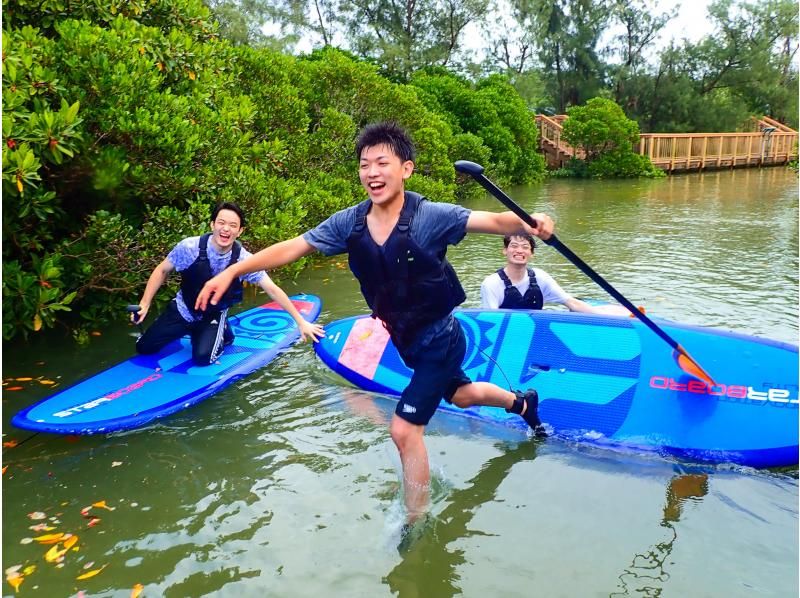 [Okinawa Main Island, Central and Northern Areas] Winter only - Okukubi River Mangrove SUP | A calm river in a subtropical mangrove forest! An extraordinary experience where you can enjoy nature observation and take great photosの紹介画像