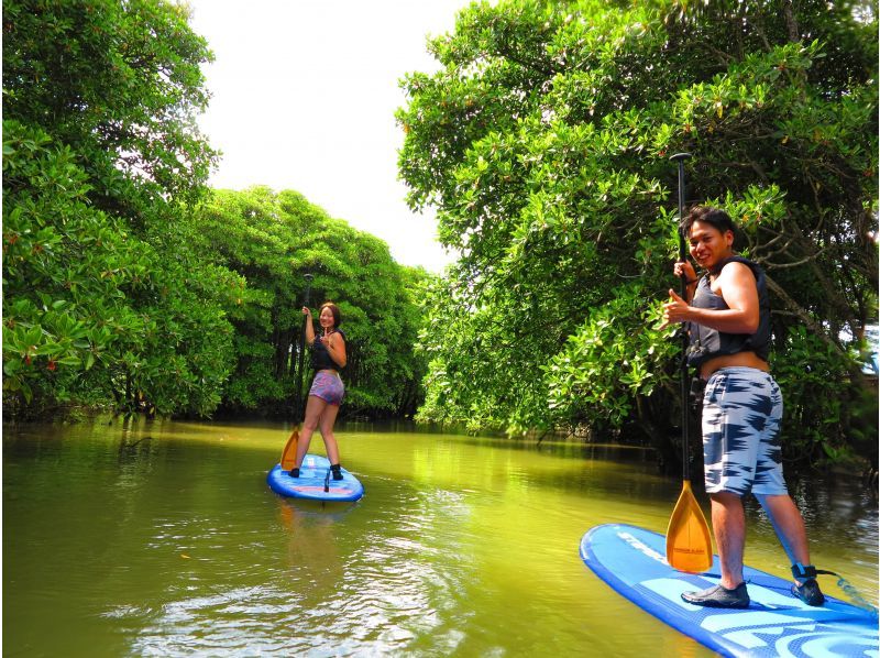 [Okinawa Main Island, Central and Northern Areas] Winter only - Okukubi River Mangrove SUP | A calm river in a subtropical mangrove forest! An extraordinary experience where you can enjoy nature observation and take great photosの紹介画像