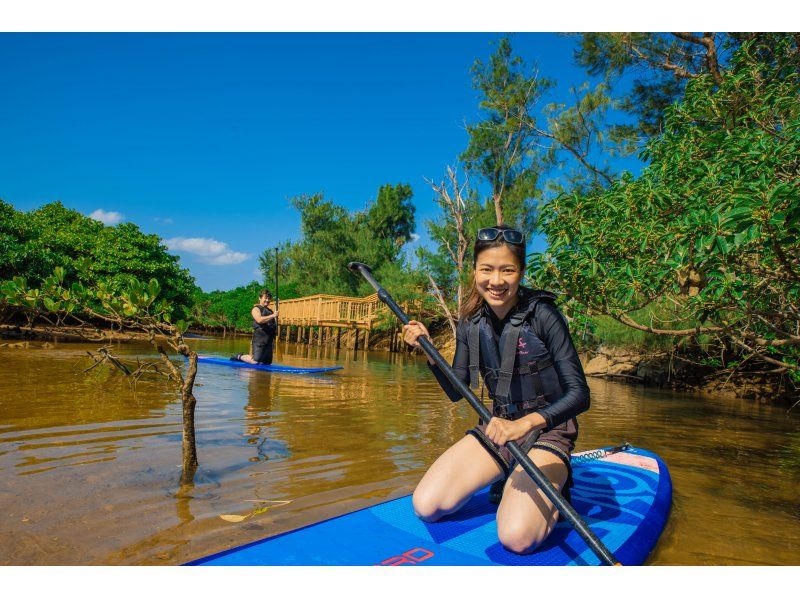 [沖繩本島/中北部] Okubi River Mangrove SUP Tour |亞熱帶紅樹林河冒險SUP之旅♪の紹介画像