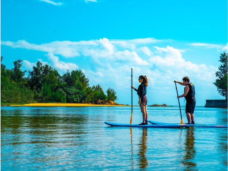 [Okinawa Main Island, Central and Northern Areas] Winter only - Okukubi River Mangrove SUP | A calm river in a subtropical mangrove forest! An extraordinary experience where you can enjoy nature observation and take great photosの紹介画像