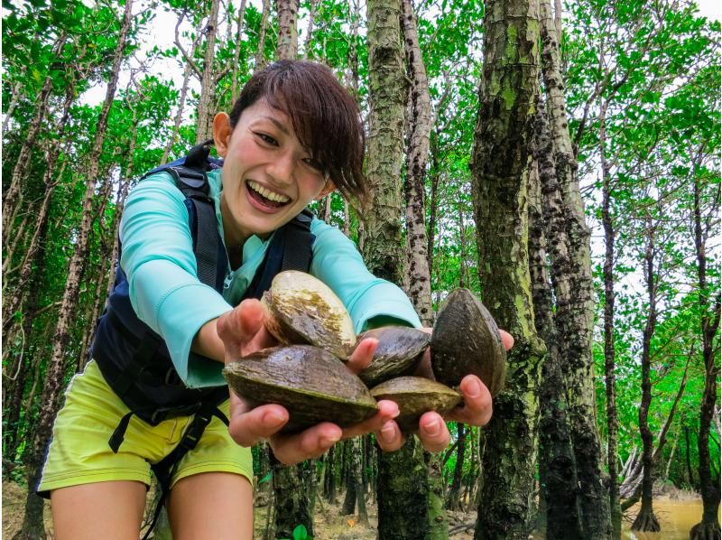 [Okinawa Main Island, Central and Northern Areas] Winter only - Okukubi River Mangrove SUP | A calm river in a subtropical mangrove forest! An extraordinary experience where you can enjoy nature observation and take great photosの紹介画像