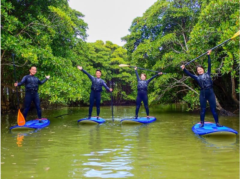 [Okinawa Main Island, Central and Northern Areas] Winter only - Okukubi River Mangrove SUP | A calm river in a subtropical mangrove forest! An extraordinary experience where you can enjoy nature observation and take great photosの紹介画像