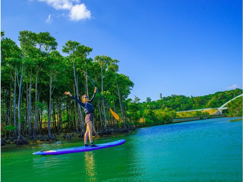 [Okinawa Main Island, Central and Northern Areas] Winter only - Okukubi River Mangrove SUP | A calm river in a subtropical mangrove forest! An extraordinary experience where you can enjoy nature observation and take great photosの紹介画像