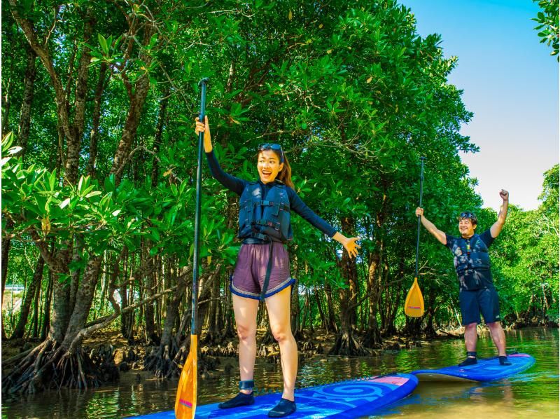 [Okinawa Main Island, Central and Northern Areas] Winter only - Okukubi River Mangrove SUP | A calm river in a subtropical mangrove forest! An extraordinary experience where you can enjoy nature observation and take great photosの紹介画像