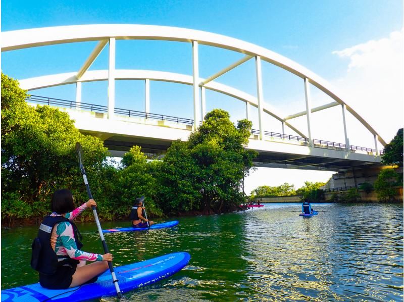 [Okinawa Main Island, Central and Northern Areas] Winter only - Okukubi River Mangrove SUP | A calm river in a subtropical mangrove forest! An extraordinary experience where you can enjoy nature observation and take great photosの紹介画像