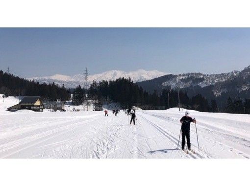 大流行中！ クロスカントリースキー フリー ロシニョール セット