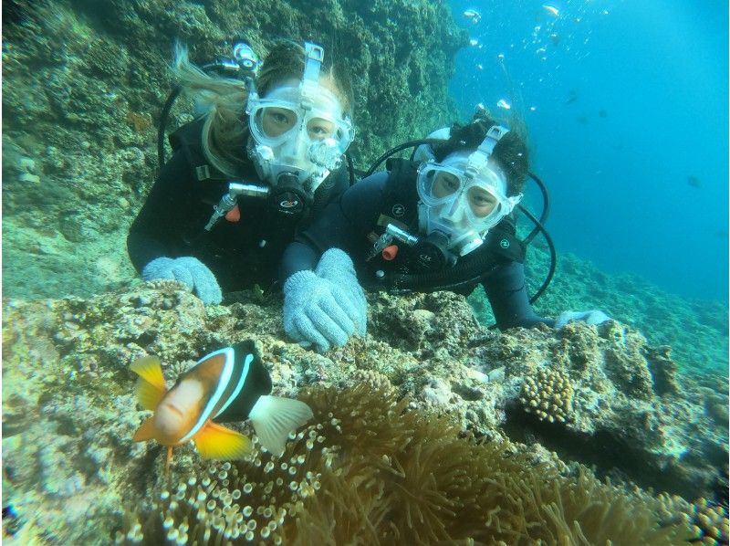 【Okinawa Main Island · Onna Village】 Enjoy it at Cape Meiwada! Experience diving! (D plan)の紹介画像
