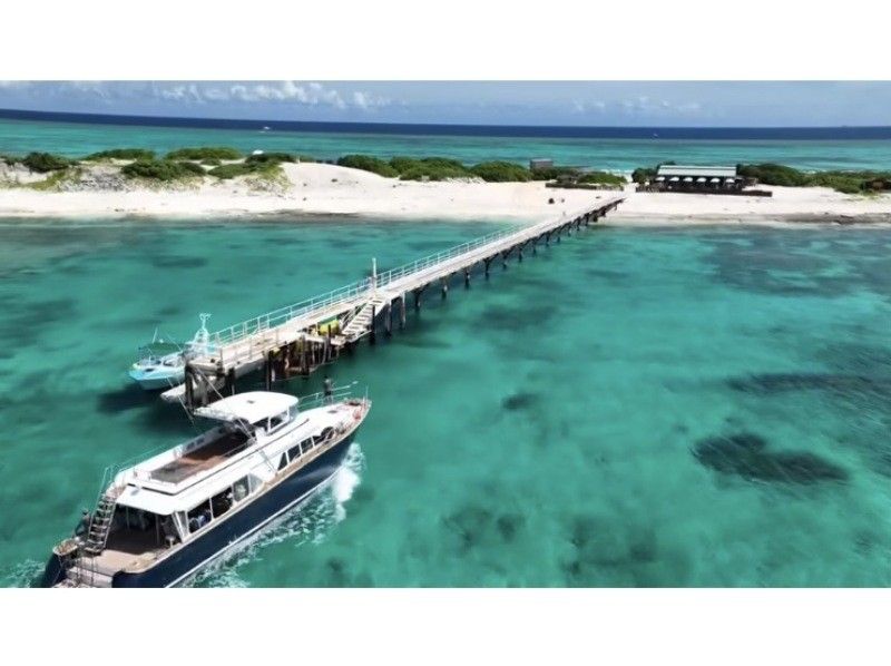 [Okinawa / Naha] Landing on Naganu Island! Whale watchingの紹介画像