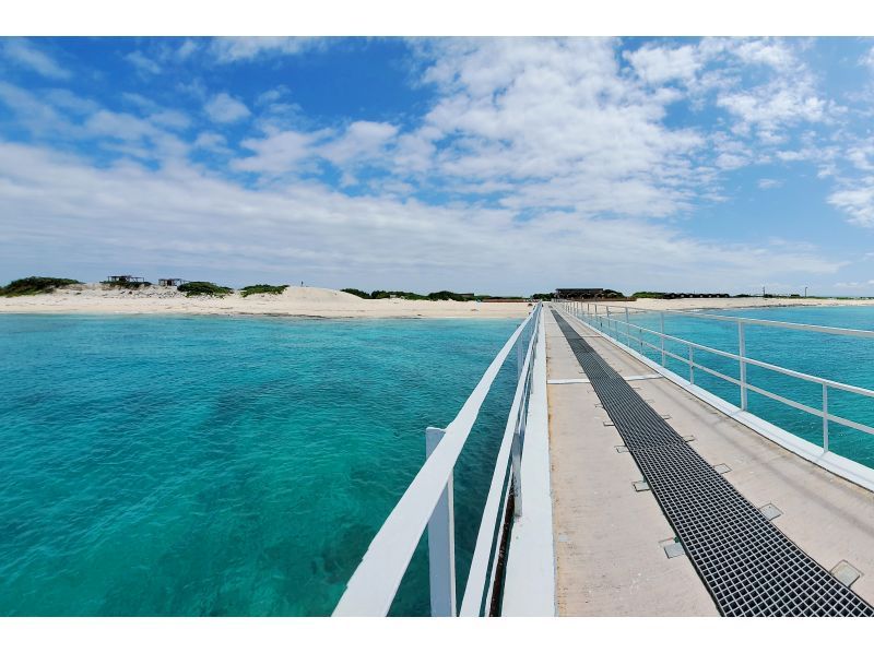 [Okinawa / Naha] Landing on Naganu Island! Whale watchingの紹介画像