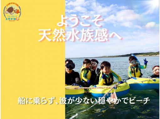 【那覇・糸満周辺】創業以来、無事故で安心!『ウミガメ&100種以上の生物探索シュノーケリング』お子様専用フロート完備★送迎可★保温対策充実★ 【那覇・糸満周辺】創業以来、無事故で安心!『ウミガメ&100種以上の生物探索シュノーケリング』お子様専用フロート完備★送迎可★保温対策充実★