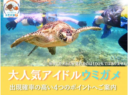 【那覇・糸満周辺】創業以来、無事故で安心!『ウミガメ&100種以上の生物探索シュノーケリング』お子様専用フロート完備★送迎可★保温対策充実★ 【那覇・糸満周辺】創業以来、無事故で安心!『ウミガメ&100種以上の生物探索シュノーケリング』お子様専用フロート完備★送迎可★保温対策充実★