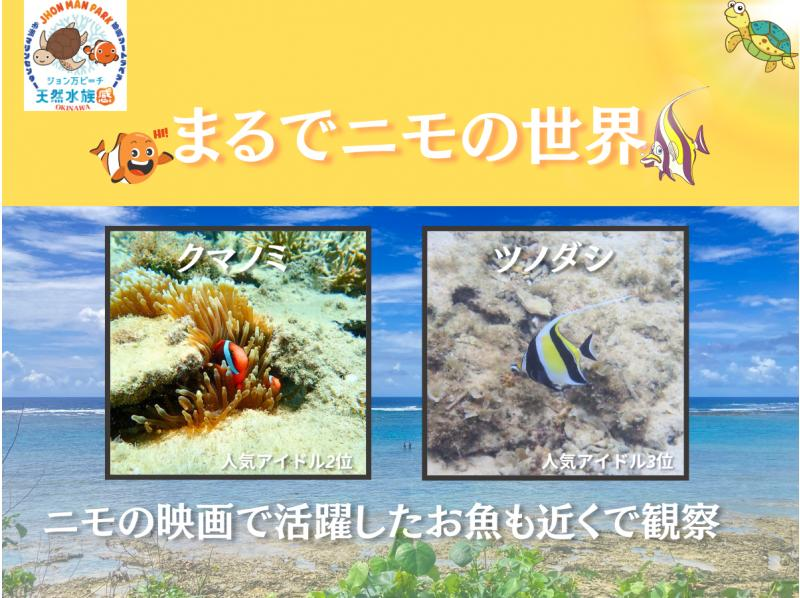 【那覇・糸満周辺】☆創業10周年☆ウミガメ＆100種類以上のお魚触れ合い体験シュノーケリング★2～12歳子供安全サポートプラン★送迎可★の紹介画像