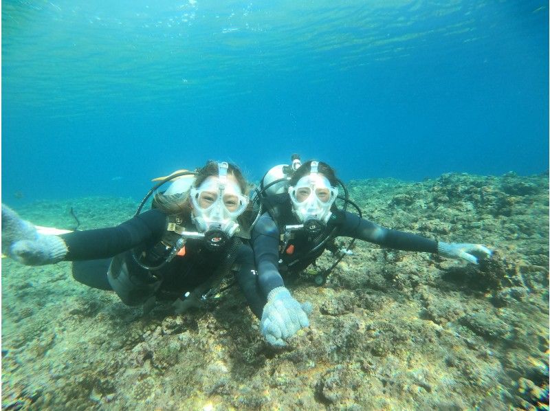 【 冲绳主岛·恩纳村】蓝洞体验深潜和热带鱼和喂养体验深潜 ！ （一个计划）の紹介画像