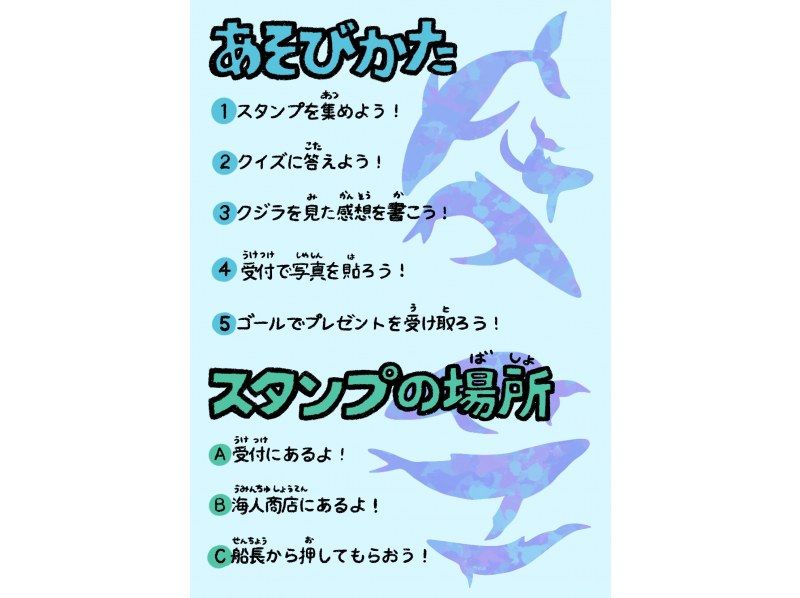 那覇発・全額返金保証付きホエールウォッチング☆2026年ホエールツアー