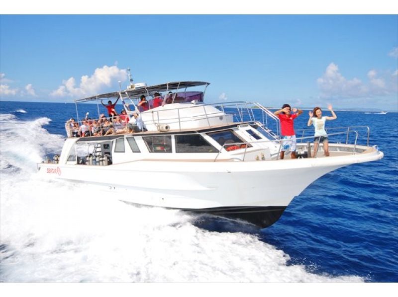 那覇発・全額返金保証付きホエールウォッチング☆2025年ホエールツアー