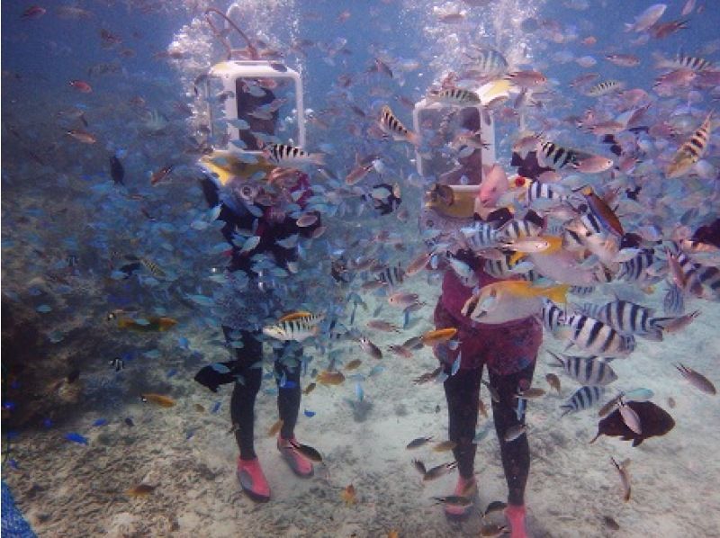Ages 6 and up welcome to join the "Stunning Boat Sea Walk Tour" [Onna Village/Nago City] Okinawa's hidden gem with an unparalleled variety of fish and satisfaction!の紹介画像