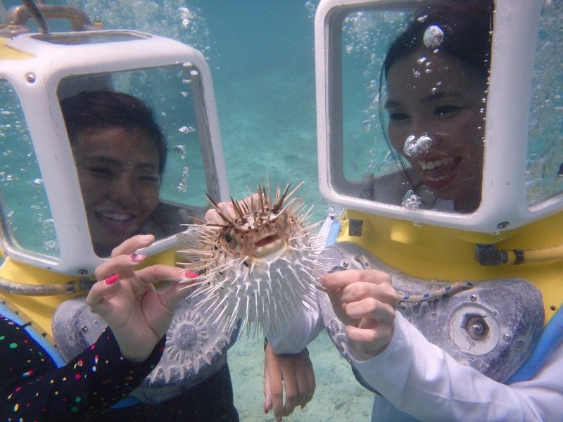 沖縄の事業者「合同会社M‘zOcean」が実施するシーウォーク体験の様子