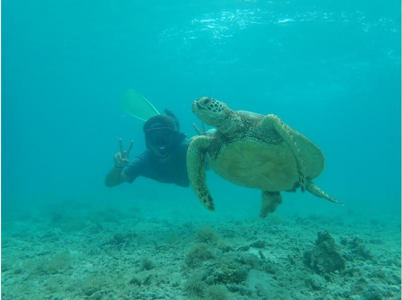【이리 오모테 섬】 전세! 이다의 해변 바다 카약 투어 | 카약 & 스노클링 | 바다 거북과 함께 수영!の紹介画像