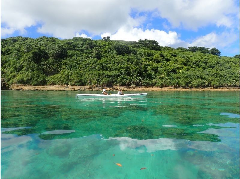 [Iriomote Island] Private reservation! Ida Beach Sea Kayak Tour | Kayak & Snorkel | Swim with sea turtles!の紹介画像