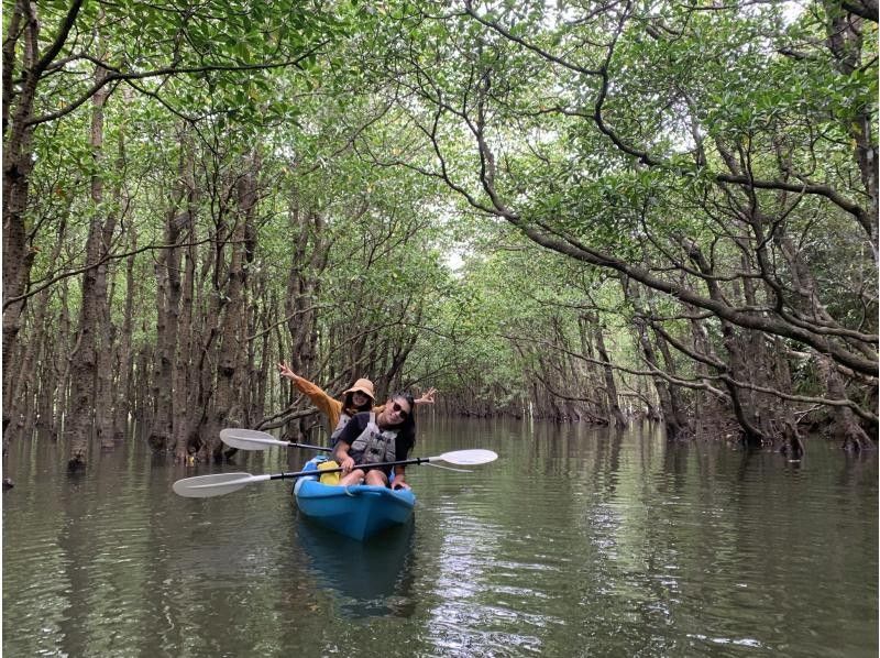 [Okinawa/Iriomote Island] Half-day Nakama Mangrove River canoe tour (Morning session)
