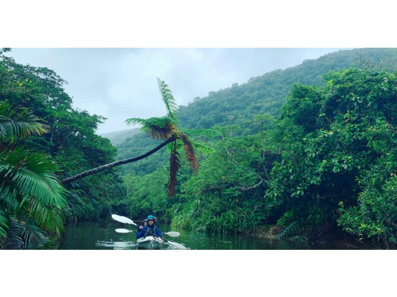 [冲绳/西表岛]半日仲间川独木舟之旅|红树林|独木舟体验！ （上午场）の紹介画像