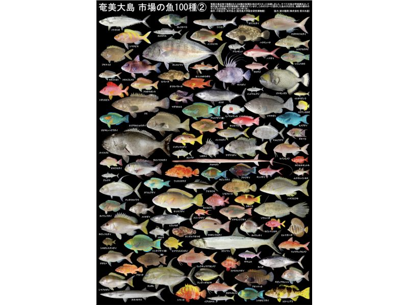 【奄美大島】【即日予約】船釣り（120分）手ぶらで参加できる『船釣り体験ツアー』★動画・写真の無料プレゼントあり★の紹介画像