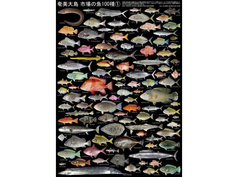 【奄美大島】【即日予約】船釣り（120分）手ぶらで参加できる『船釣り体験ツアー』★動画・写真の無料プレゼントあり★の紹介画像