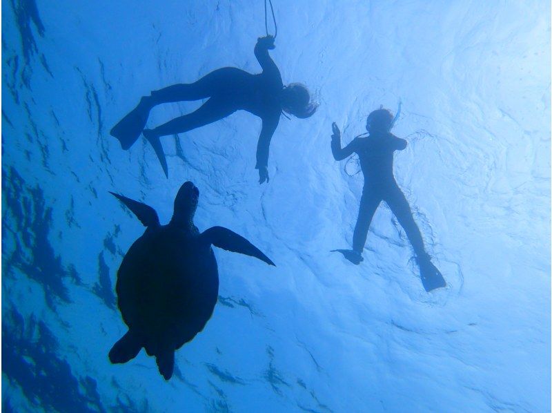 【沖縄・石垣島】高確率で遭遇！ウミガメシュノーケリング2時間少人数制☆現地集合プラン【11/1～4/30】の紹介画像