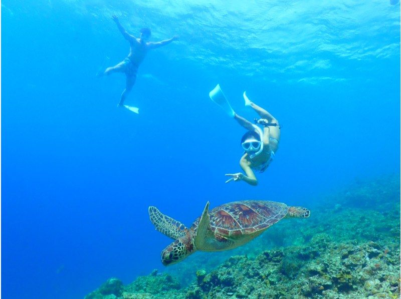 【沖縄・石垣島】高確率で遭遇！ウミガメシュノーケリング2時間少人数制☆現地集合プラン【11/1～4/30】の紹介画像