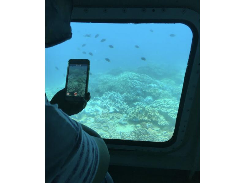 [Departing from Naha] Whale watching and underwater coral viewing on Okinawa's only anti-rolling high-speed underwater sightseeing boat! You might even see a whale underwater!の紹介画像