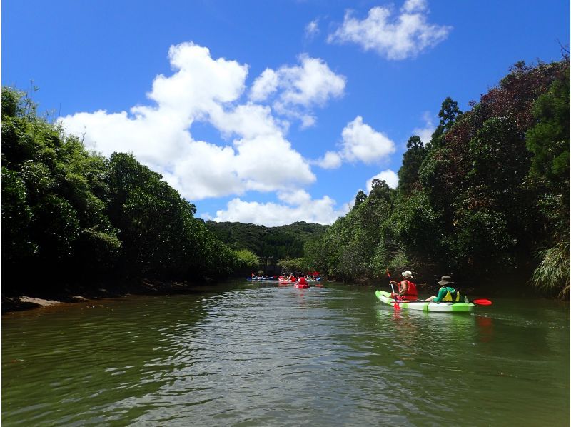 [Kagoshima / Tanegashima] With video recording! Mangrove with half-day kayak or SUP!の紹介画像