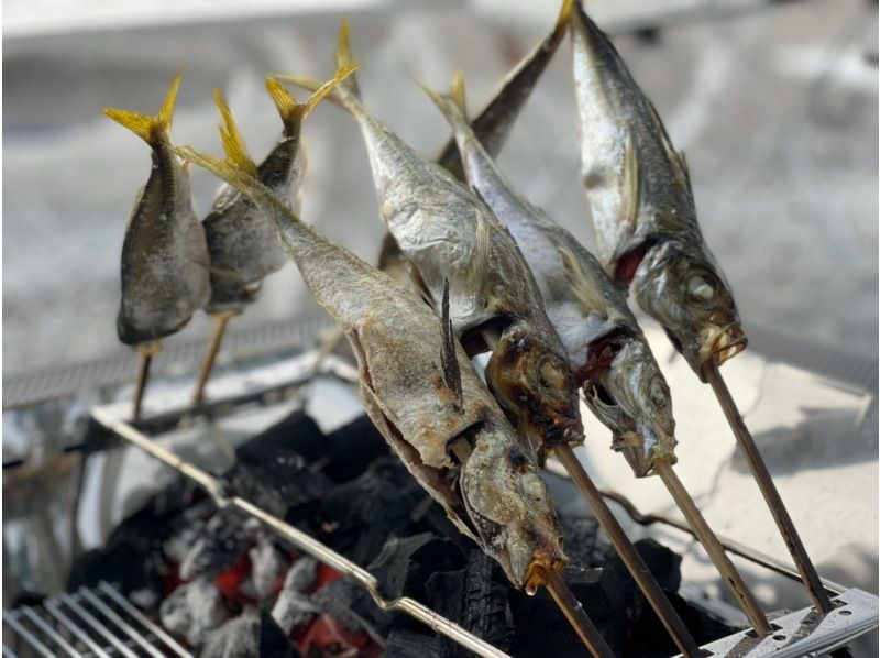 【千葉・館山】釣りと活きてる貝の浜焼きが楽しめる浜焼きBBQの紹介画像