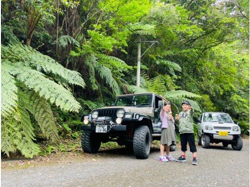 【奄美大島】日中に大自然を満喫!ジャングルツアー(120分)【即日予約可能】★口コミ投稿で撮影データ無料プレゼント★ 【奄美大島】日中に大自然を満喫!ジャングルツアー(120分)【即日予約可能】★口コミ投稿で撮影データ無料プレゼント★