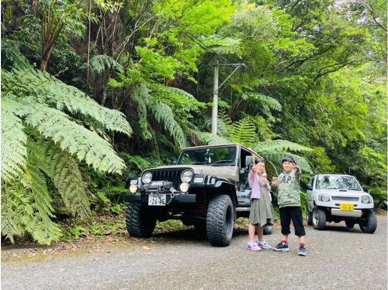 【奄美大島】日中に大自然を満喫！ジャングルツアー（120分）【即日予約可能】★口コミ投稿で撮影データ無料プレゼント★の紹介画像