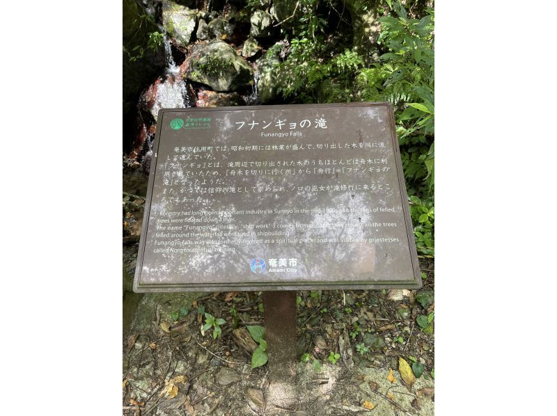 【奄美大島】日中に大自然を満喫！ジャングルツアー（120分）【即日予約可能】★口コミ投稿で撮影データ無料プレゼント★の紹介画像