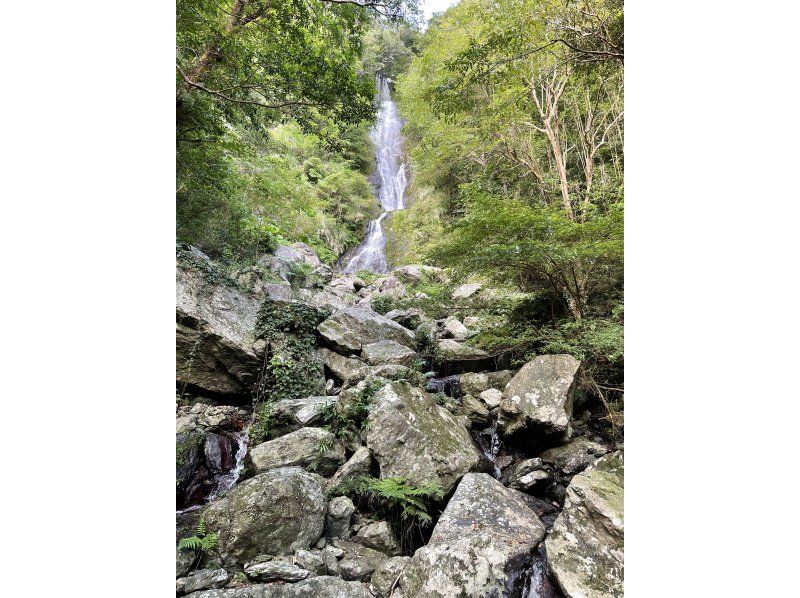 【奄美大島】日中に大自然を満喫！ジャングルツアー（120分）【即日予約可能】★口コミ投稿で撮影データ無料プレゼント★の紹介画像