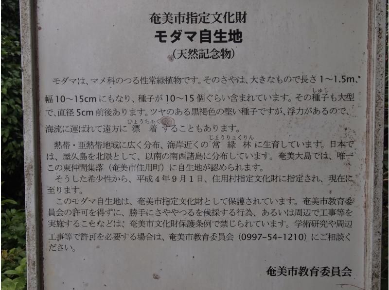 【奄美大島】日中に大自然を満喫！ジャングルツアー（120分）【即日予約可能】★口コミ投稿で撮影データ無料プレゼント★の紹介画像