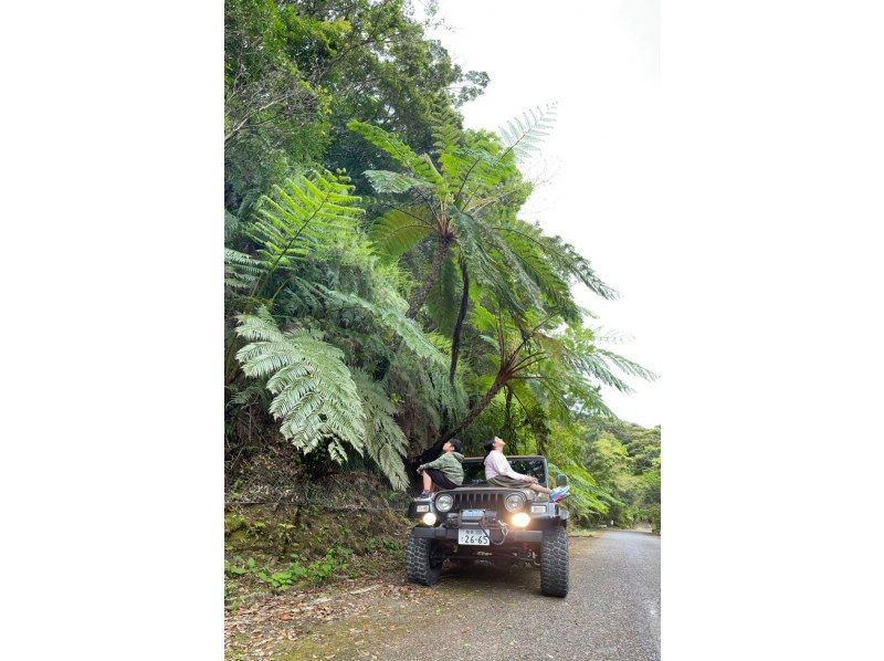 【奄美大島】日中に大自然を満喫！ジャングルツアー（120分）【即日予約可能】★口コミ投稿で撮影データ無料プレゼント★の紹介画像