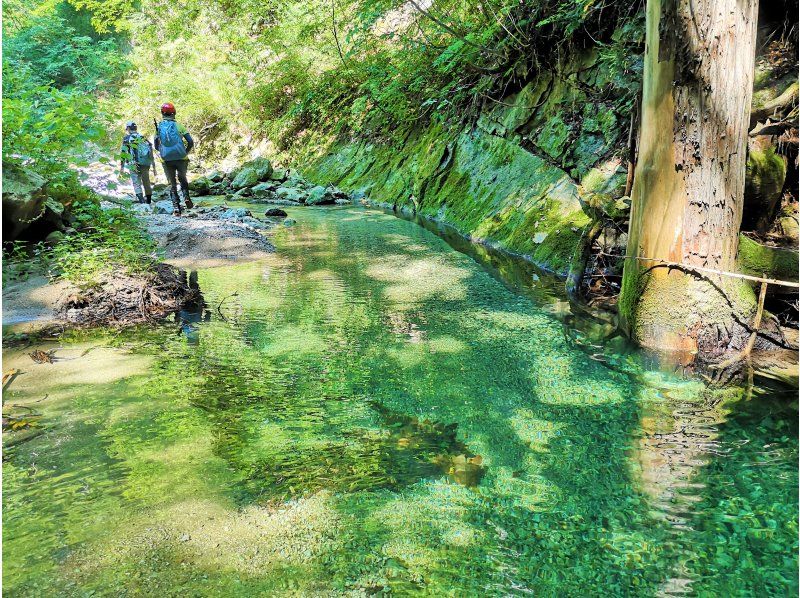 [Akita / Shirakami Mountains] Shirakami River Trekking Lunch included, fully enjoy the clear stream!