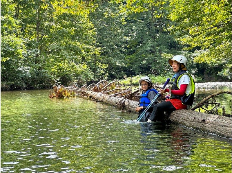 [Akita / Shirakami Mountains] Shirakami River Trekking Lunch included, fully enjoy the clear stream!