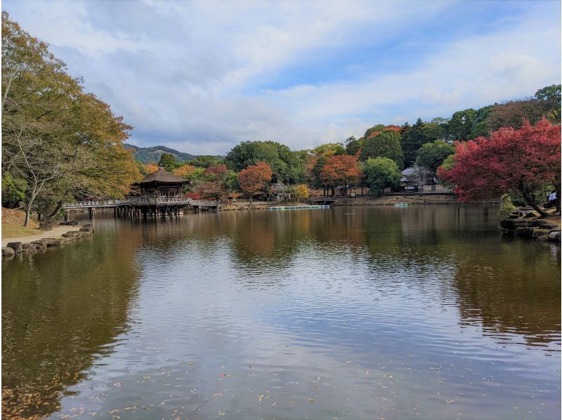 【奈良・奈良公園】大仏さんを見たあとに｜奈良公園をガイド付きでいいとこどり｜観光人力車30分コースの紹介画像