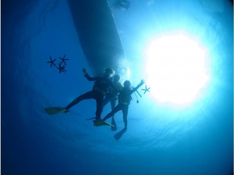 【沖縄・本部、水納島・瀬底島】手ぶらで集合　体験ダイビング　半日いっぱい遊べる2dive　の紹介画像