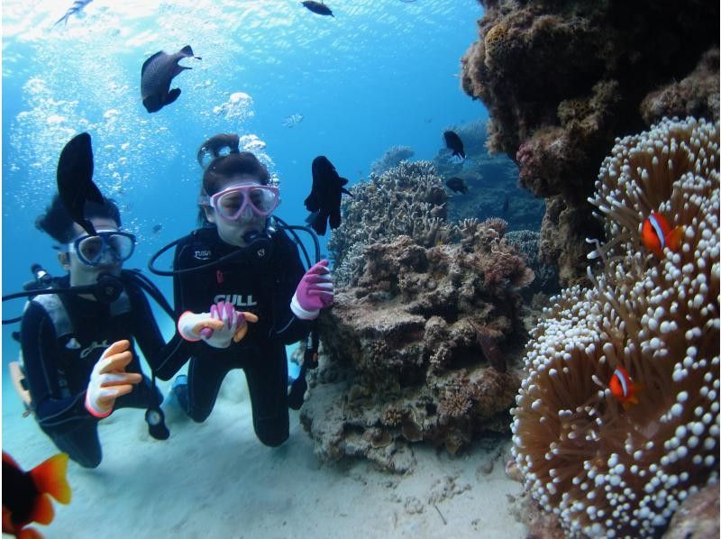 【沖縄・本部、水納島・瀬底島】手ぶらで集合　体験ダイビング　半日いっぱい遊べる2dive　の紹介画像