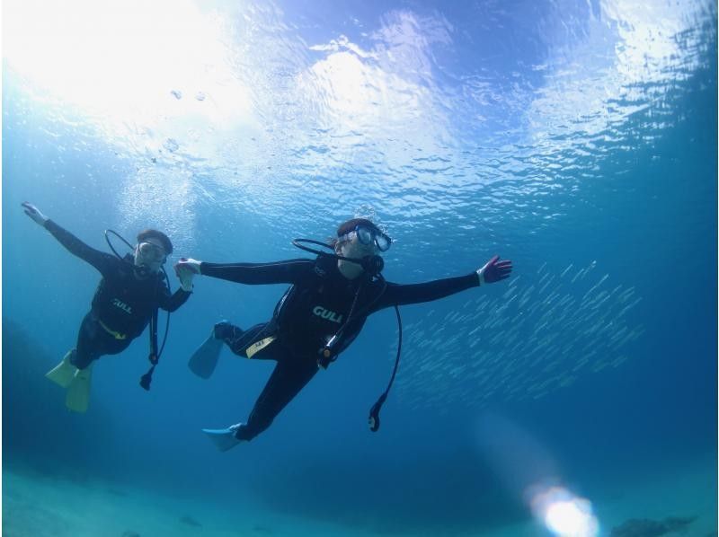 【沖縄・本部、水納島・瀬底島】手ぶらで集合　体験ダイビング　半日いっぱい遊べる2dive　の紹介画像