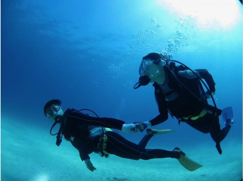 【沖縄・本部、水納島・瀬底島】手ぶらで集合　体験ダイビング　半日いっぱい遊べる2dive　の紹介画像