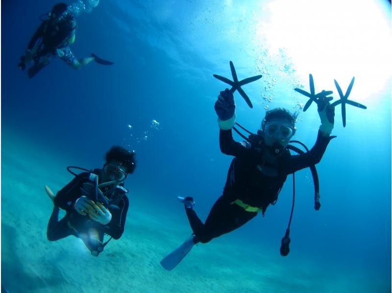 【沖縄・本部、水納島・瀬底島】手ぶらで集合　体験ダイビング　半日いっぱい遊べる2dive　の紹介画像