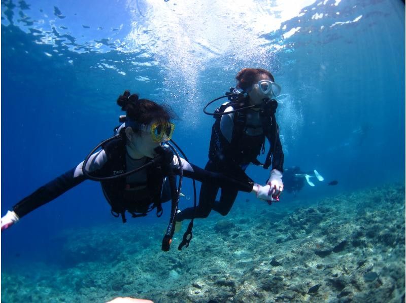 【沖縄・本部、水納島・瀬底島】手ぶらで集合　体験ダイビング　半日いっぱい遊べる2dive　の紹介画像