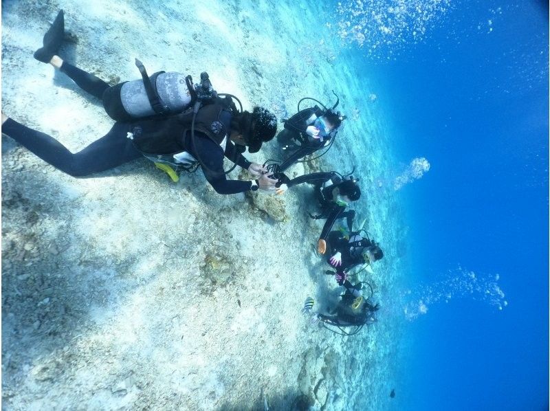 【沖縄・本部、水納島・瀬底島】手ぶらで集合　体験ダイビング　半日いっぱい遊べる2dive　の紹介画像