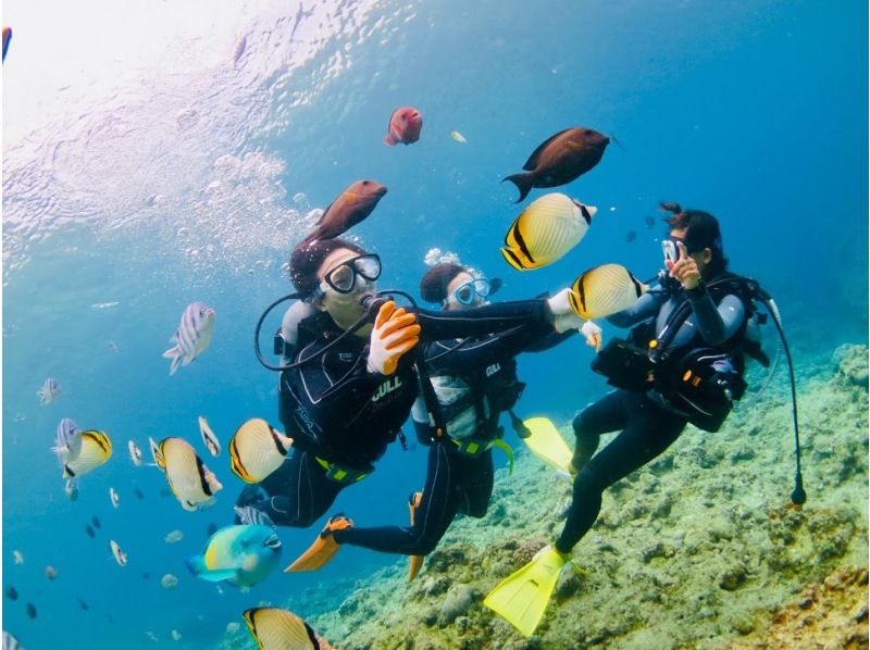 [Okinawa, Motobu, Minna Island, Sesoko Island] Empty-handed gathering, experience diving, half-day full time fun 2diveの紹介画像