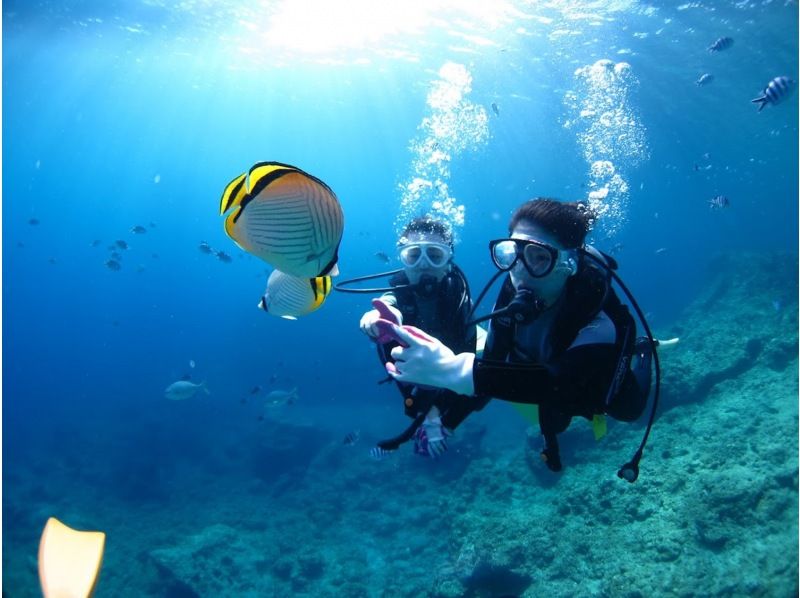 【沖縄・本部、水納島・瀬底島】手ぶらで集合　体験ダイビング　半日いっぱい遊べる2dive　の紹介画像